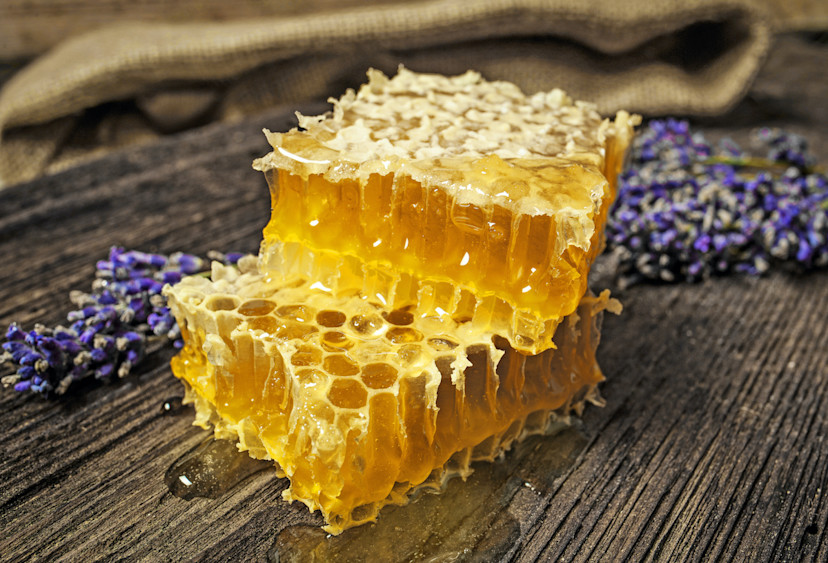AdobeStock_242094589